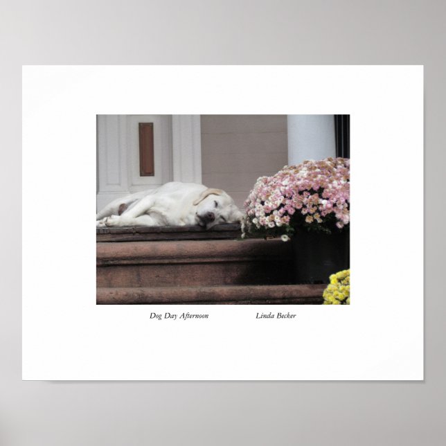 Hund Dag eftermiddag av Linda Becker Poster (Framsidan)