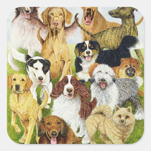 Hund dagar fyrkantigt klistermärke (Framsida)