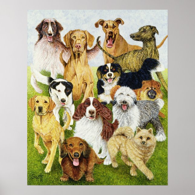 Hund dagar poster (Framsidan)