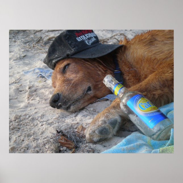 Hund dagar poster (Framsidan)