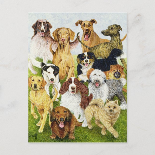 Hund dagar vykort (Framsida)