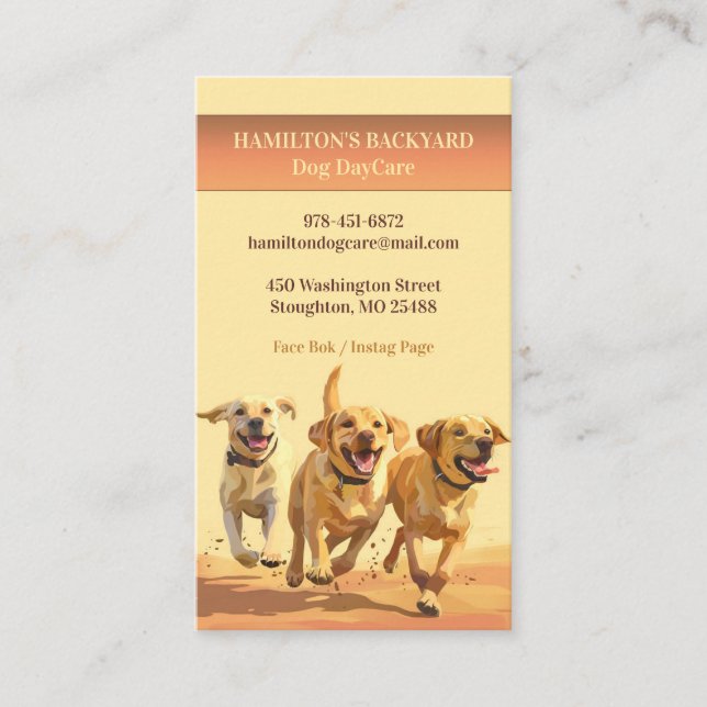 Hund Daycare Walking Pet Sitta Affärskort Visitkort (Framsida)