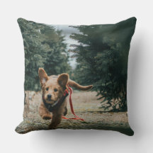 "Hund Days Dreaming"