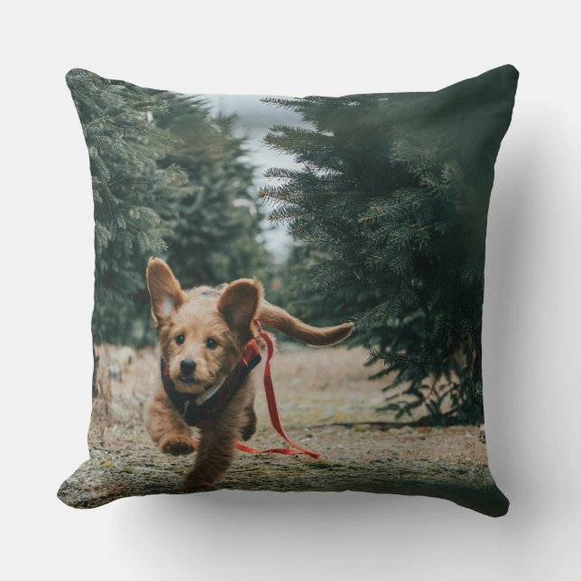 "Hund Days Dreaming" Kudde (Framsida)