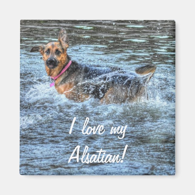 Hund design för Pet-älskare Magnet (Framsidan)