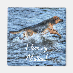 Hund design för Pet-älskare Magnet