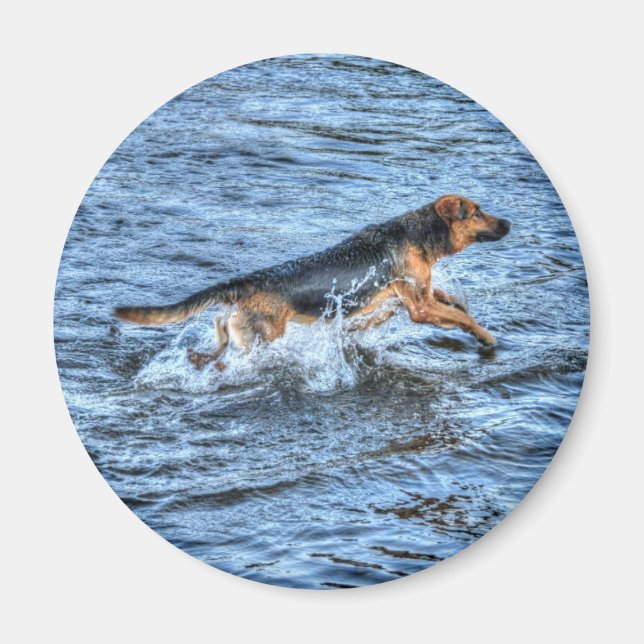 Hund design för Pet-älskare Magnet (Framsidan)