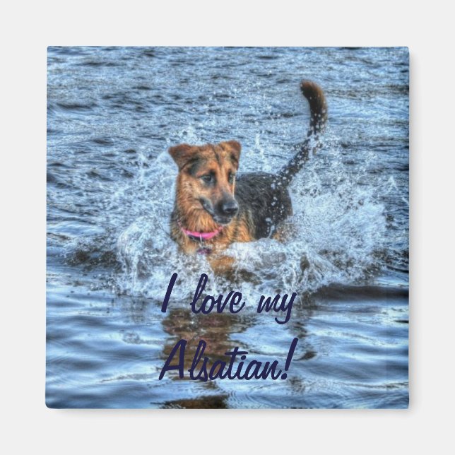 Hund design för Pet-älskare Magnet (Framsidan)