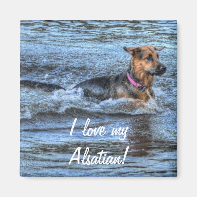 Hund design för Pet-älskare Magnet (Framsidan)