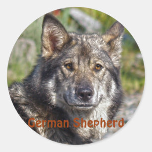 Hund design för Pet-älskare Runt Klistermärke