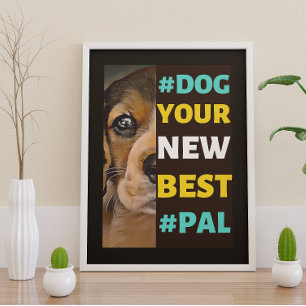 #Hund, din nya bästa #Pal ...Beagle Poster