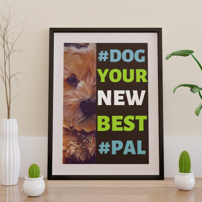 #Hund, din nya bästa #Pal ...Cavapoo Poster (Skapare uppladdad)