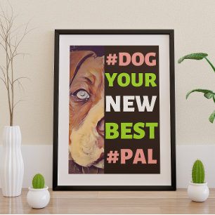 #Hund, din nya bästa #Pal ...Pitbull Poster