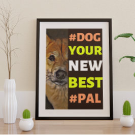#Hund, din nya bästa #Pal ...Shiba Inu Poster