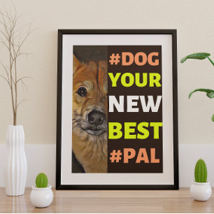 #Hund, din nya bästa #Pal ...Shiba Inu Poster