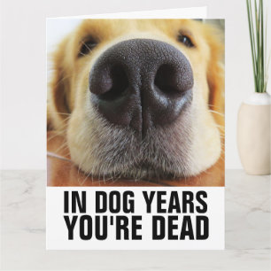 HUND DITT DÖDA HUND BIRTHDAY-KORT KORT