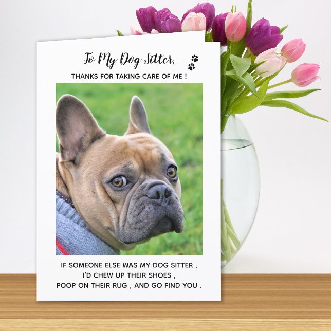 Hund - Djuromsorg Pet Photo - tack för personlig (Skapare uppladdad)
