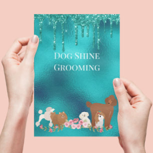 Hund Djurvård Glitter Affärsplats Flygblad