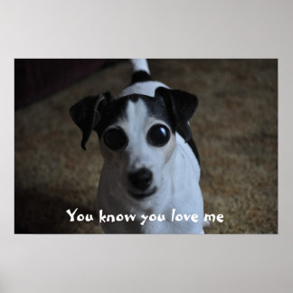 hund, du känner dig kärlek mig. poster