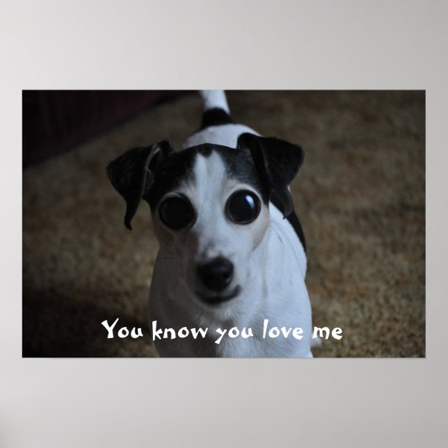 hund, du känner dig kärlek mig. poster (Framsidan)