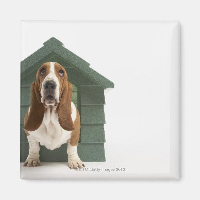 Hund efter doghouse magnet (Framsidan)