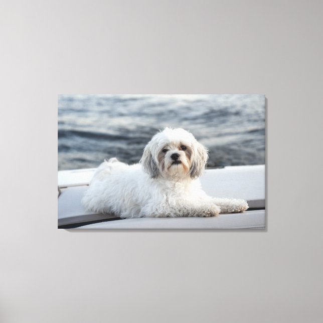 Hund efter vatten canvastryck (Framsida)