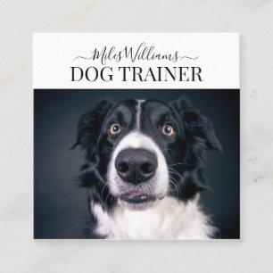 Hund- eller beteendeutbildare fyrkantigt visitkort