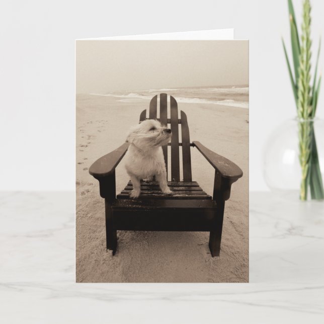 Hund Enjoeing the Beach Kort (Framsida)