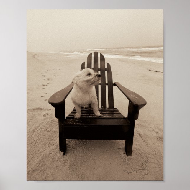 Hund Enjoeing the Beach Poster (Framsidan)