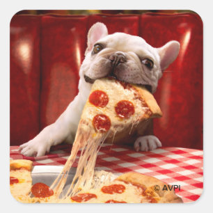Hund Etering av Pizza-segment Fyrkantigt Klistermärke