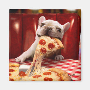 Hund Etering av Pizza-segment Magnet