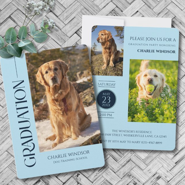 Hund Examen Fest Inbjudan Husdjur Bilder Babyblå (Dog Graduation Party Invitation with Pet Photos in Baby Blue and navy blue)