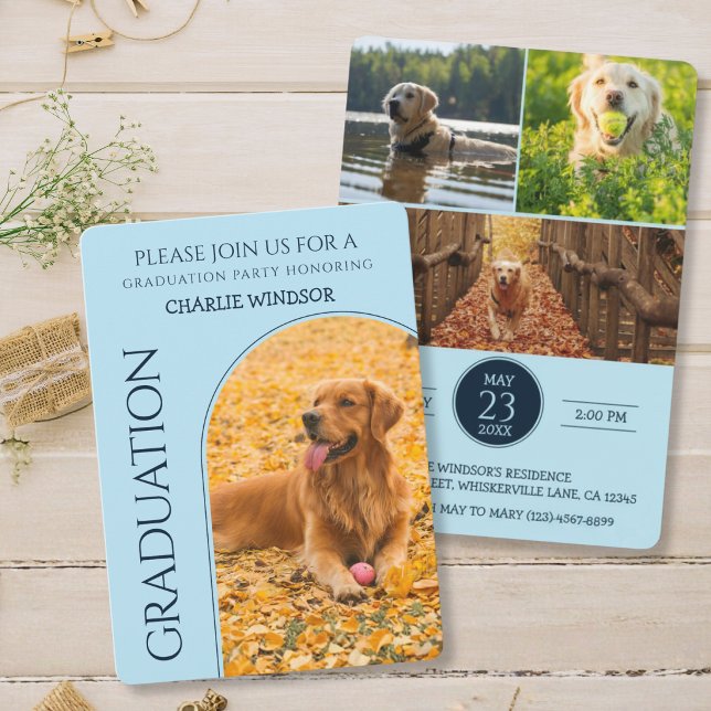 Hund Examen Fest Inbjudan Husdjur Bilder Babyblå (Dog Graduation Invitation cards)