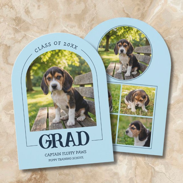 Hund Examen Fest Inbjudan Husdjur Bilder Babyblå (Dog Graduation Party Invite Pet Photos Baby Blue)