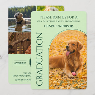 Hund Examen Fest Inbjudan Husdjur Bilder Bebis Grö