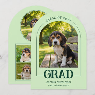Hund Examen Fest Inbjudan Husdjur Bilder Bebis Grö