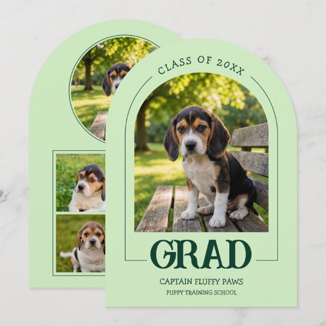 Hund Examen Fest Inbjudan Husdjur Bilder Bebis Grö (Fram/baksida)