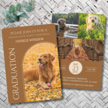 Hund Examen Fest Inbjudan Husdjur Bilder Brun