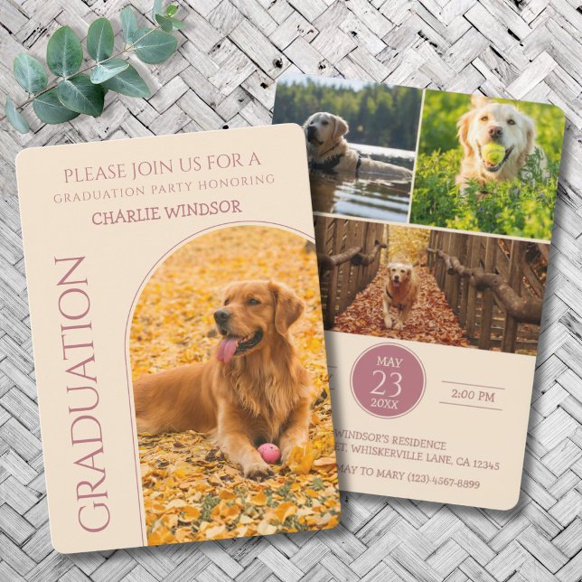 Hund Examen Fest Inbjudan Husdjur Bilder Rosa Guld (Dog Graduation Party Invitation cards)