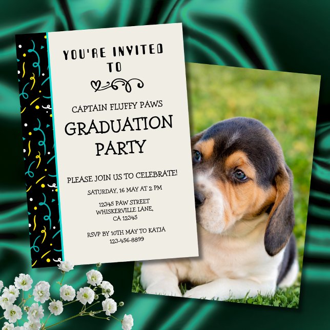 Hund Examensbevis Färgglad Blå & Svart Inbjudningar (Dog Graduation Invitation cards)