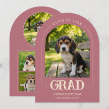 Hund Examensfest Inbjudan Husdjur Bilder Rosa Guld