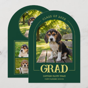 Hund Examensfest Inbjudan Husdjur Bilder Smaragd