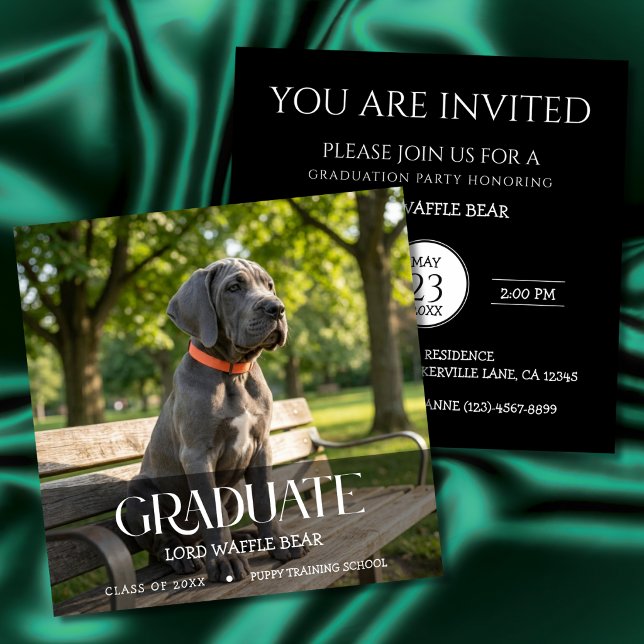 Hund Examensfest Inbjudan Husdjur Foto Svart & Vit (Dog training graduation invitation cards)