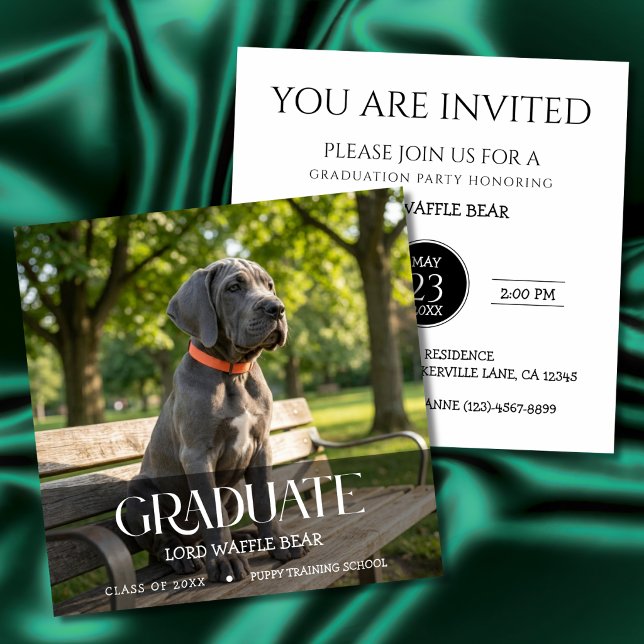 Hund Examensfest Inbjudan Husdjur Foto Svart & Vit (Dog training graduation invitation cards)