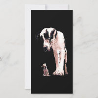 Hund| Familjen Great dane Älskare