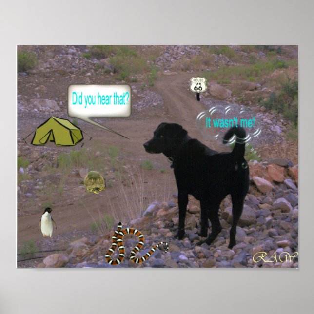 Hund Fart Poster (Framsidan)