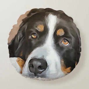 Hund, Female hund, Bernese Mounese hund Rund Kudde