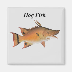 Hund Fish Magnet