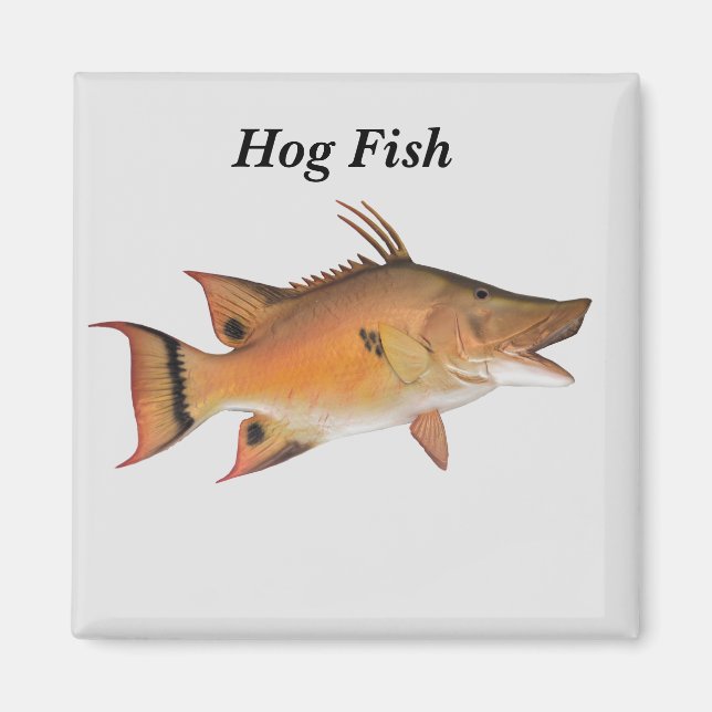 Hund Fish Magnet (Framsidan)