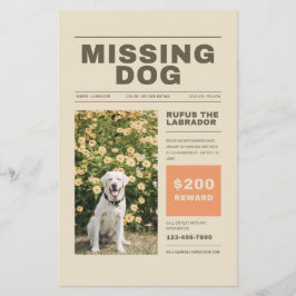 Hund Flyer saknas